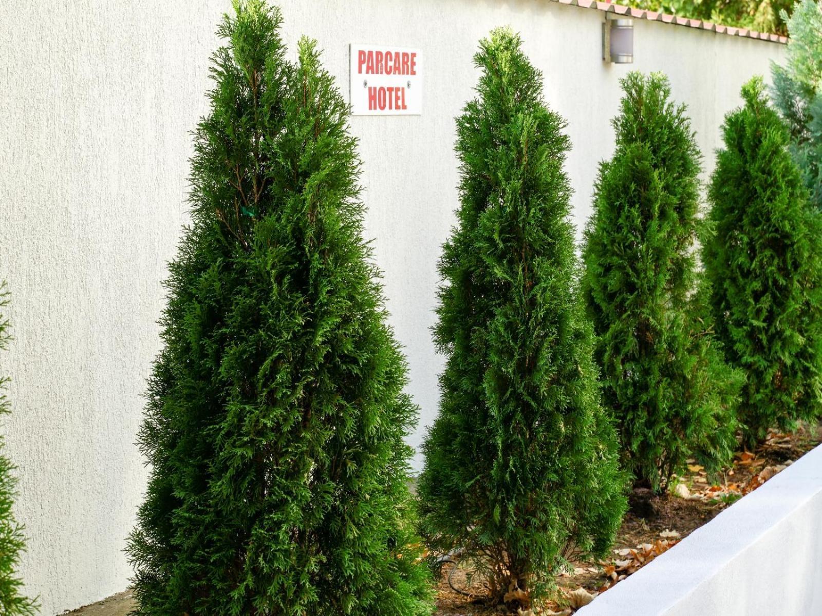 Hotel Criss Букурещ Екстериор снимка